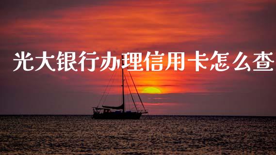光大银行办理信用卡怎么查_https://cj006.lansai.wang_全球市场_第1张