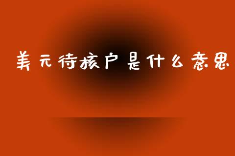 美元待核户是什么意思_https://cj006.lansai.wang_金融监管_第1张