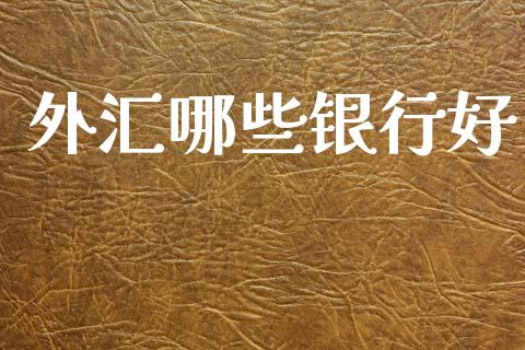 外汇哪些银行好_https://cj006.lansai.wang_债券资讯_第1张