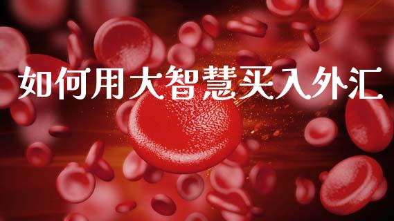 如何用大智慧买入外汇_https://cj006.lansai.wang_财经新闻_第1张