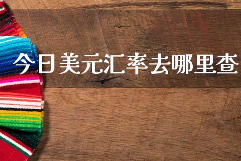 今日美元汇率去哪里查_https://cj006.lansai.wang_金融监管_第1张