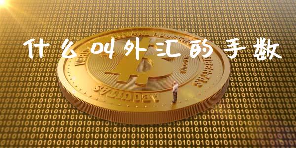 什么叫外汇的手数_https://cj006.lansai.wang_全球市场_第1张