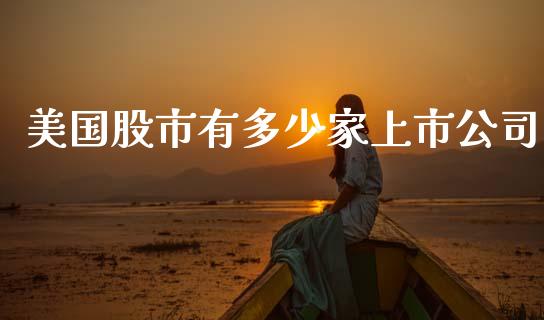 美国股市有多少家上市公司_https://cj006.lansai.wang_全球市场_第1张