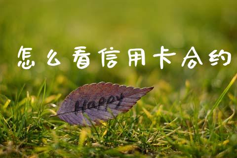 怎么看信用卡合约_https://cj006.lansai.wang_金融监管_第1张