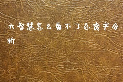 大智慧怎么看不了总资产分析_https://cj006.lansai.wang_期货开户_第1张
