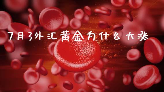 7月3外汇黄金为什么大涨_https://cj006.lansai.wang_财经新闻_第1张