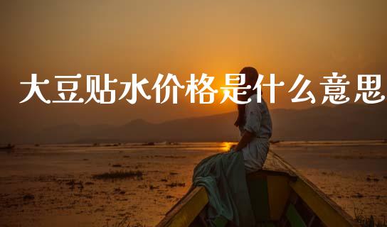 大豆贴水价格是什么意思_https://cj006.lansai.wang_金融监管_第1张