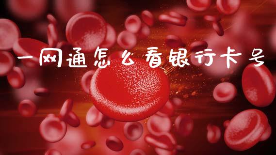 一网通怎么看银行卡号_https://cj006.lansai.wang_外汇交易_第1张