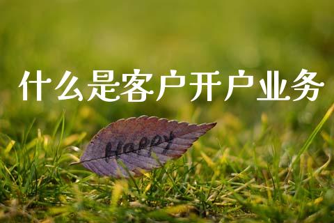 什么是客户开户业务_https://cj006.lansai.wang_外汇交易_第1张