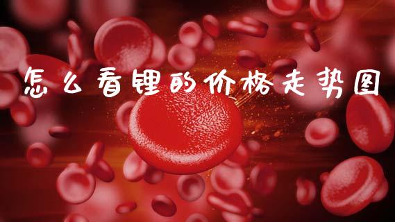 怎么看锂的价格走势图_https://cj006.lansai.wang_期货开户_第1张