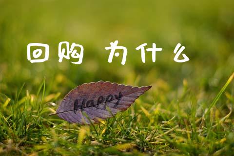 回购 为什么_https://cj006.lansai.wang_金融监管_第1张