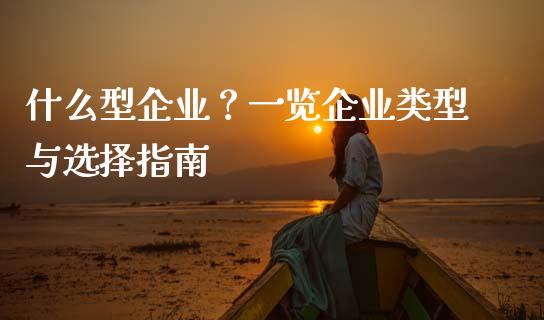 什么型企业？一览企业类型与选择指南_https://cj006.lansai.wang_金融监管_第1张