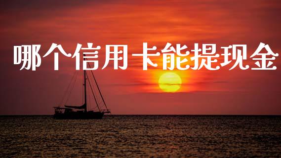 哪个信用卡能提现金_https://cj006.lansai.wang_债券资讯_第1张
