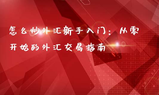 怎么炒外汇新手入门：从零开始的外汇交易指南_https://cj006.lansai.wang_债券资讯_第1张