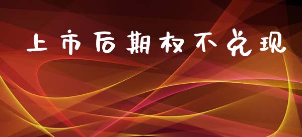 上市后期权不兑现_https://cj006.lansai.wang_财经新闻_第1张