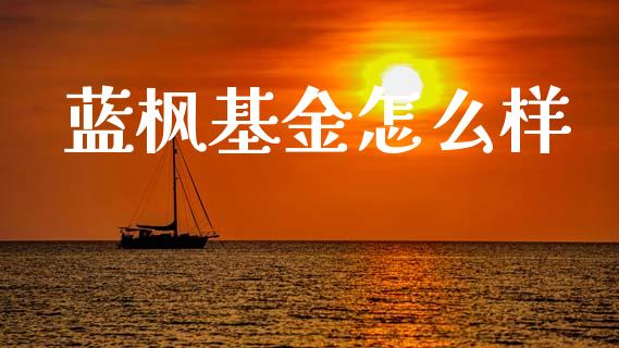 蓝枫基金怎么样_https://cj006.lansai.wang_金融监管_第1张