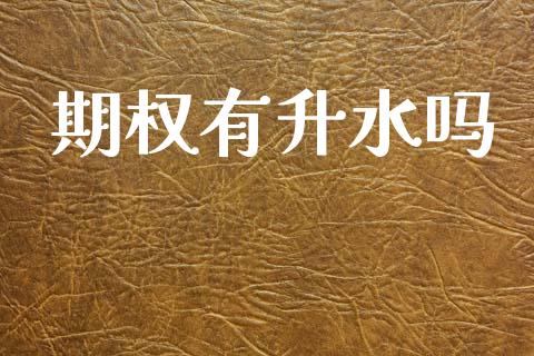 期权有升水吗_https://cj006.lansai.wang_期货开户_第1张