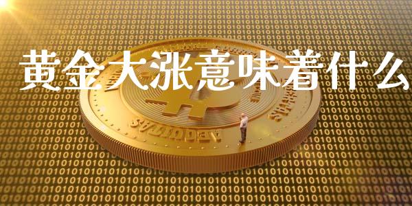 黄金大涨意味着什么_https://cj006.lansai.wang_期货开户_第1张