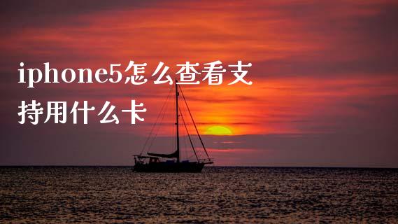 iphone5怎么查看支持用什么卡_https://cj006.lansai.wang_债券资讯_第1张