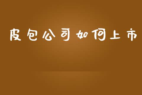 皮包公司如何上市_https://cj006.lansai.wang_全球市场_第1张