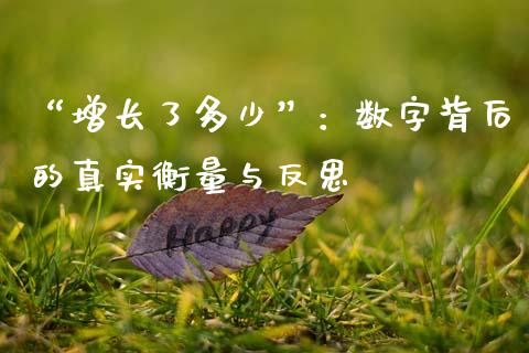 “增长了多少”：数字背后的真实衡量与反思_https://cj006.lansai.wang_债券资讯_第1张