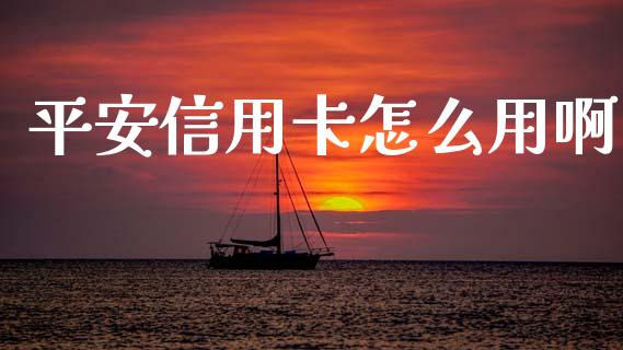 平安信用卡怎么用啊_https://cj006.lansai.wang_债券资讯_第1张
