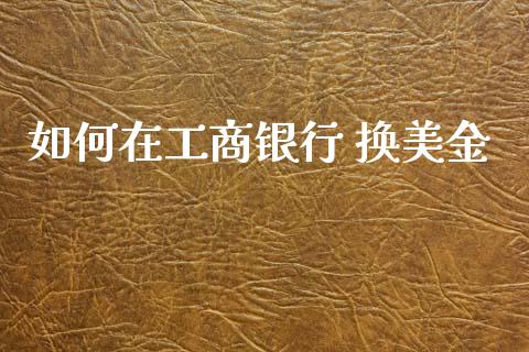 如何在工商银行 换美金_https://cj006.lansai.wang_财经新闻_第1张