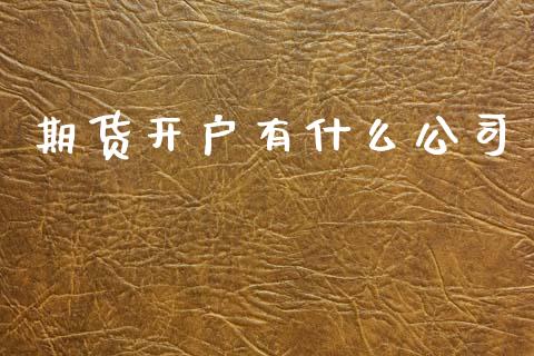 期货开户有什么公司_https://cj006.lansai.wang_金融监管_第1张