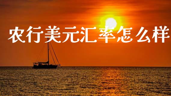 农行美元汇率怎么样_https://cj006.lansai.wang_全球市场_第1张