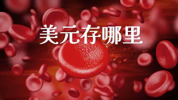 美元存哪里_https://cj006.lansai.wang_金融监管_第1张