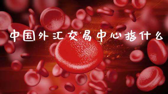 中国外汇交易中心指什么_https://cj006.lansai.wang_财经新闻_第1张