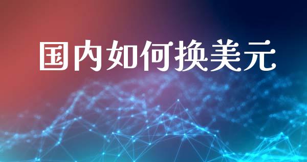 国内如何换美元_https://cj006.lansai.wang_债券资讯_第1张