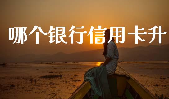 哪个银行信用卡升_https://cj006.lansai.wang_金融监管_第1张