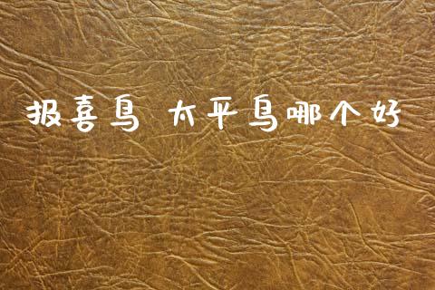 报喜鸟 太平鸟哪个好_https://cj006.lansai.wang_金融监管_第1张