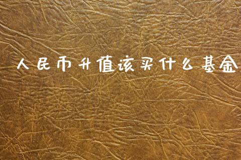 人民币升值该买什么基金_https://cj006.lansai.wang_期货开户_第1张
