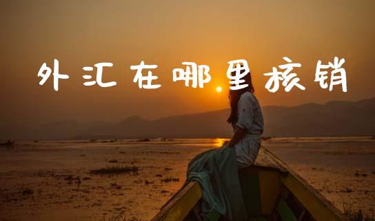 外汇在哪里核销_https://cj006.lansai.wang_金融监管_第1张