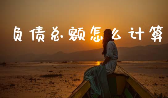 负债总额怎么计算_https://cj006.lansai.wang_债券资讯_第1张
