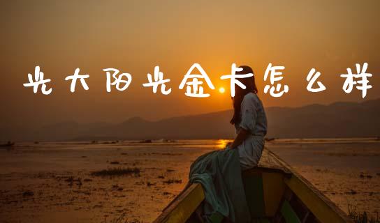 光大阳光金卡怎么样_https://cj006.lansai.wang_全球市场_第1张