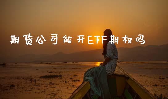 期货公司能开ETF期权吗_https://cj006.lansai.wang_财经新闻_第1张