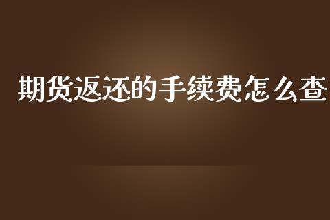 期货返还的手续费怎么查_https://cj006.lansai.wang_全球市场_第1张