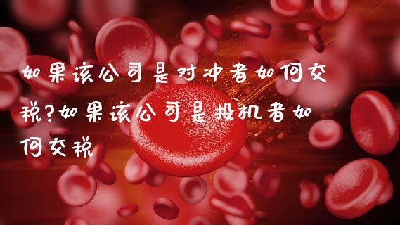 如果该公司是对冲者如何交税?如果该公司是投机者如何交税_https://cj006.lansai.wang_全球市场_第1张