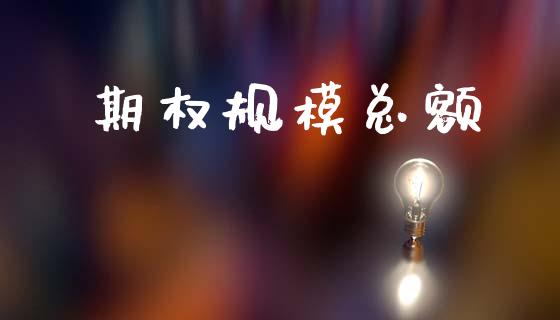 期权规模总额_https://cj006.lansai.wang_债券资讯_第1张