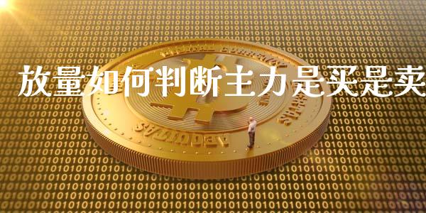 放量如何判断主力是买是卖_https://cj006.lansai.wang_外汇交易_第1张
