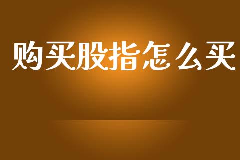 购买股指怎么买_https://cj006.lansai.wang_外汇交易_第1张