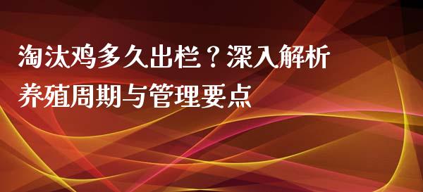 淘汰鸡多久出栏？深入解析养殖周期与管理要点_https://cj006.lansai.wang_期货开户_第1张