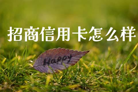 招商信用卡怎么样_https://cj006.lansai.wang_债券资讯_第1张