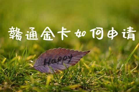 赣通金卡如何申请_https://cj006.lansai.wang_金融监管_第1张