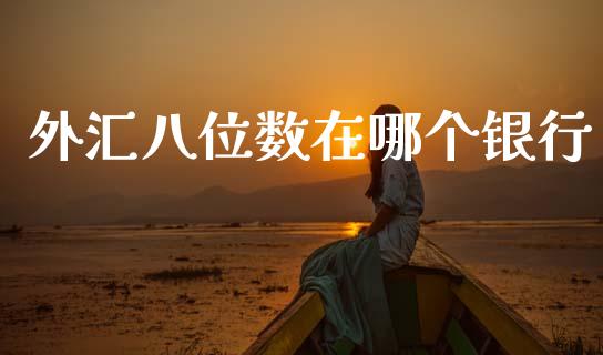 外汇八位数在哪个银行_https://cj006.lansai.wang_期货开户_第1张