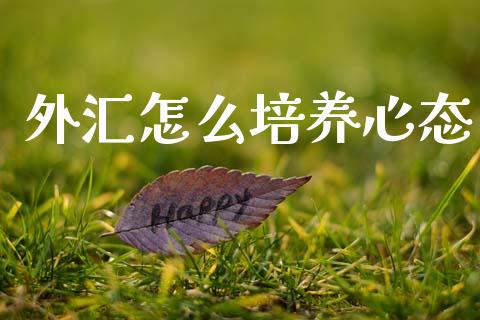 外汇怎么培养心态_https://cj006.lansai.wang_全球市场_第1张