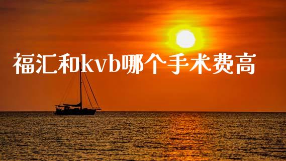 福汇和kvb哪个手术费高_https://cj006.lansai.wang_债券资讯_第1张